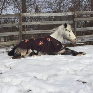 Meet your Posher, Marybeth